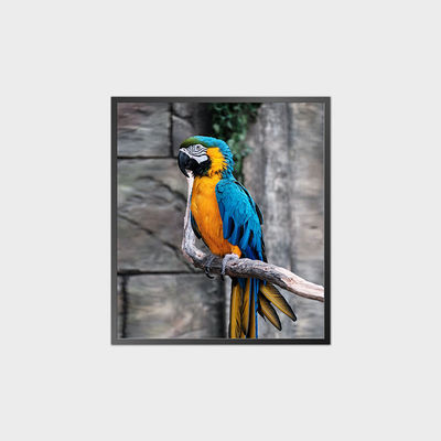 高コントラストスクエアLCDパネル 35.6 インチ 950*1080 500nit Androidシステム