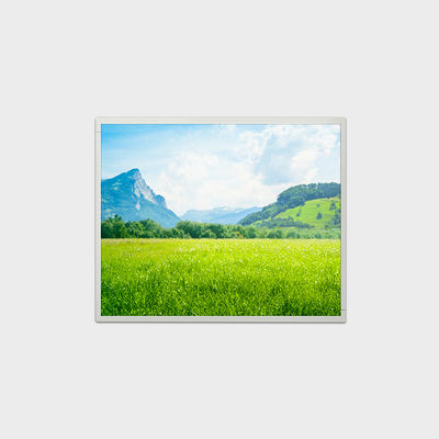 19インチLCDソリューション 解像度1280*1024 500ニット 明るさ LCMA-RX0190GB01-C050