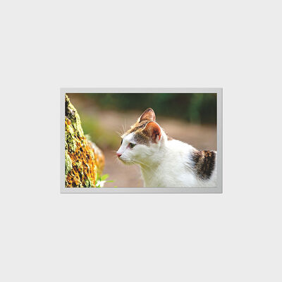 携帯型医療機器向け低消費電力LCDを搭載した12.1インチTFTディスプレイ