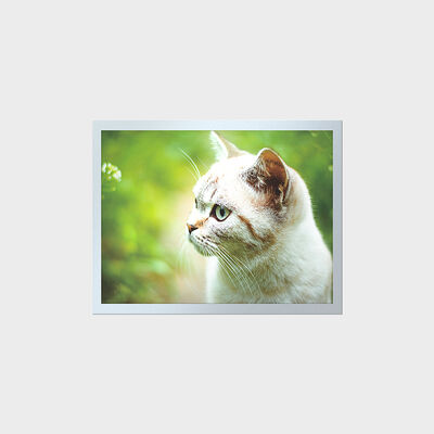 産業用計器盤用15インチ高輝度TFT長寿命LCD