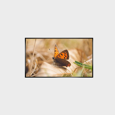 43インチ LCD パネル 2000nits 1920*1080 LCMA-RX0430GL13-Z200