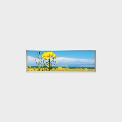 19.4インチ TFT LCD ディスプレイソリューション 1920*510 サポート カスタマイズ スマートホーム アプリケーション