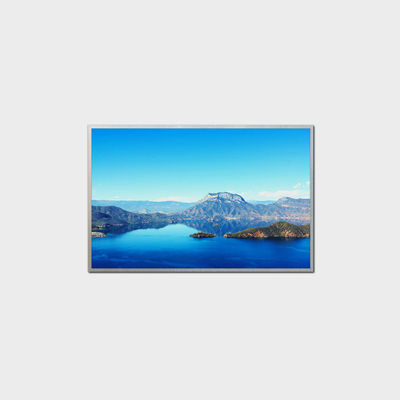 10.1 inch TFT LCD Display Outdoor Industrial Panel Support Android System