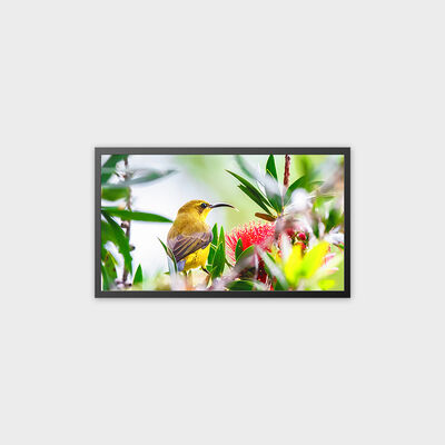 32 インチ TFT LCD 広告ディスプレイ 4000nits 高輝度ソリューション