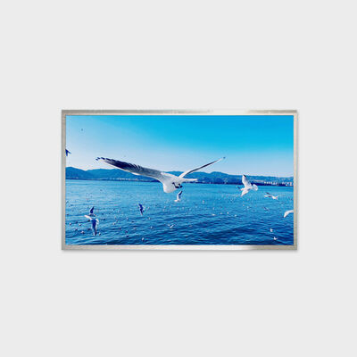 13.3 インチ TFT LCD ソリューション 800nits 輝度ソリューション ワイド温度ディスプレイ