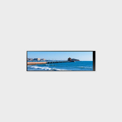 320*960 サポート 300nits 輝度ポートレート モードを備えた 4.6 インチ バータイプ LCD ディスプレイ