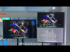 ロジンのローカルディミング 技術支援紹介