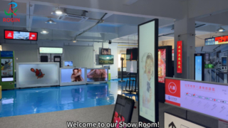 Rogin's Show Room - 中小型フルHD LCDモジュール